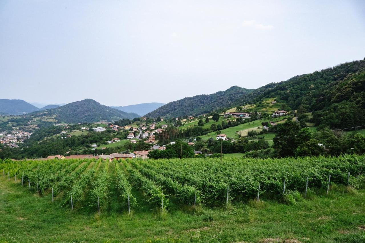 Agriturismo Podere Cavaga Lago D'Iseo Agribio Winery Foresto Sparso Екстер'єр фото